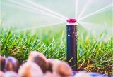 Sprinkler System Repair fort Collins Co fort Collins Greeley Landscaping Sprinkler