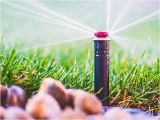 Sprinkler System Repair fort Collins Co fort Collins Greeley Landscaping Sprinkler