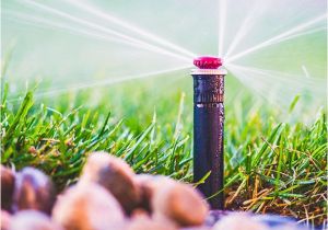 Sprinkler System Repair fort Collins Co fort Collins Greeley Landscaping Sprinkler