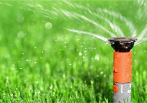 Sprinkler System Repair fort Collins fort Collins Loveland Landscaping Sprinkler Company