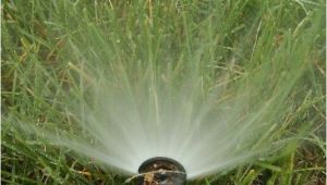 Sprinkler System Repair fort Collins How to Blow Out or Drain Sprinkler System before Freeze