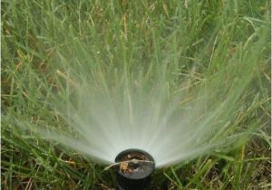 Sprinkler System Repair fort Collins How to Blow Out or Drain Sprinkler System before Freeze