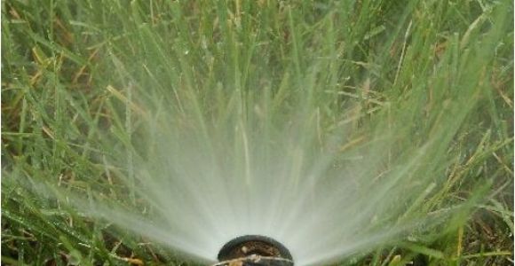 Sprinkler System Repair fort Collins How to Blow Out or Drain Sprinkler System before Freeze