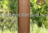 Squirrel Baffle for 4×4 Post Post Raccoon Tan Baffle at Backyard Wild Birds