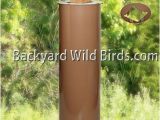 Squirrel Baffle for 4×4 Post Post Raccoon Tan Baffle at Backyard Wild Birds