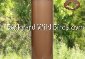 Squirrel Baffle for 4×4 Post Post Raccoon Tan Baffle at Backyard Wild Birds