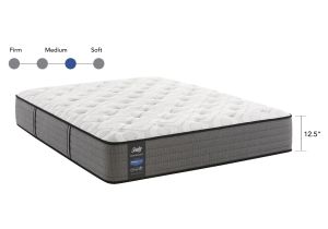 Stearns and Foster Cushion Firm Vs Luxury Firm Shop Sealy Response Performance 12 5 Inch Plush King Size Mattress