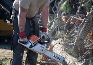 Stihl Dealers San Antonio Redhorse Stockfotos Redhorse Bilder Alamy