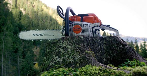 Stihl Dealers San Antonio Stihl Ms 261 C M Chainsaw