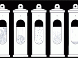 Storm Glass Barometer Instructions Stormglass