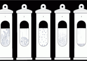 Storm Glass Barometer Instructions Stormglass