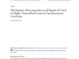 Sub Zero Repair Houston Texas Pdf Def1 and Dst1 Play Distinct Roles In Repair Of Ap Lesions In