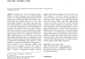 Sub Zero Repair Houston Texas Pdf New Paradigms In the Repair Of Oxidative Damage In Human Genome