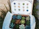 Succulent Treasures Candy Box Succulent Treasures Candy Box the original Etsy Box A Dozen