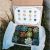 Succulent Treasures Candy Box Succulent Treasures Candy Box the original Etsy Box A Dozen