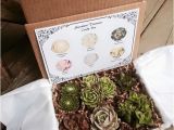 Succulent Treasures Candy Box Succulent Treasures Candy Box the original Etsy Box A Half