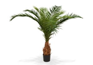 Tall Fake Palm Trees for Sale Canary Deluxe Palm Tree 210 Cm Maxifleur Artificial Plants