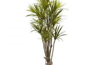 Tall Fake Palm Trees for Sale Nearly Natural 5 Ft Dracaena Silk Tree 5466 the Home Depot