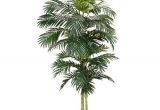 Tall Fake Palm Trees for Sale Nearly Natural 8 Ft Green Golden Cane Palm Silk Tree 5326 the