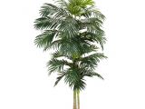 Tall Fake Palm Trees for Sale Nearly Natural 8 Ft Green Golden Cane Palm Silk Tree 5326 the