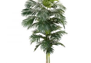 Tall Fake Palm Trees for Sale Nearly Natural 8 Ft Green Golden Cane Palm Silk Tree 5326 the