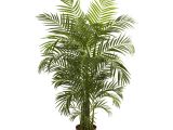 Tall Fake Palm Trees for Sale Nearly Natural areca Uv Resistant Silk Palm Tree Products