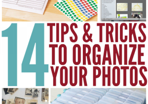 Taylor at Home Storage solutions 101 14 Simple Tips and Tricks to organize Your Photos A organized Nest