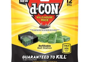 Termite Bait Stations Lowes D Con 12 Count Mouse Bait Station at Lowes Com