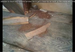 Termite Droppings Window Sill Termite Droppings Window Sill Youtube