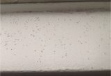 Termite Droppings Window Sill Tiny Spheres that Look Like Poppy Seeds On My Windowsill they Come