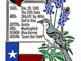 Texas Lone Star area Rug Amazon Com Texas the Lone Star State Montage Fridge Magnet