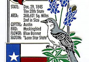 Texas Lone Star area Rug Amazon Com Texas the Lone Star State Montage Fridge Magnet