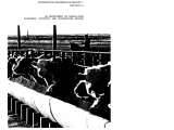 The Daily Commitment Report Peoria Il Pdf Livestock and Wool Cooperatives