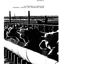 The Daily Commitment Report Peoria Il Pdf Livestock and Wool Cooperatives