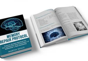 The Memory Repair Protocol the Memory Repair Protocol Main Buygoods