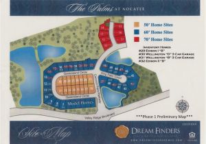 The Palms at Nocatee for Sale Homes for Sale In the Palms at Nocatee St Johns and