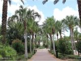 The Palms at Nocatee Hoa 148 Palm island Way In Coastal Oaks at Nocatee Ponte Vedra