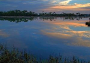 The Palms at Nocatee Hoa Nocatee Greenleaf Lakes Imagination New Home Builder