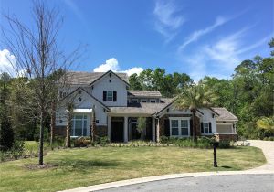 The Palms at Nocatee townhomes the Pointe at Twenty Mile Nocatee Fl Homes for Sale