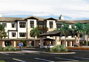 The Palms In Nocatee Fl Starling Opening Independent Living Community at Nocatee