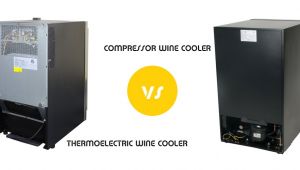 Thermoelectric Vs Compressor Wine Cooler thermoelectric Vs Compressor Wine Cooler