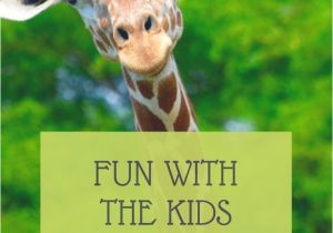 Things to Do In St Louis as A Family Fun Things to Do with Kids In St Louis Mo St Louis Things to