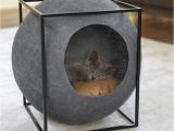 Tienda De Mascotas En Miami 46 Best Accesorios Para Mascotas Images On Pinterest Cat Houses