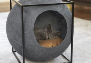 Tienda De Mascotas En Miami 46 Best Accesorios Para Mascotas Images On Pinterest Cat Houses