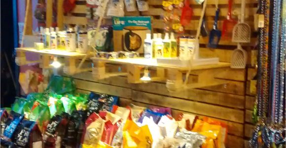 Tienda De Mascotas En Miami Productos Alimenticios Para Tu Mascota Tienda Petslike Co