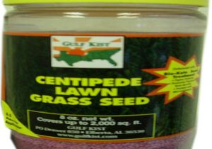 Tifblair Centipede Grass Seed Centipede Grass Seed Lawn Care the Home Depot