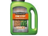 Tifblair Centipede Grass Seed Centipede Grass Seed Lawn Care the Home Depot