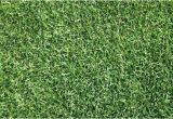 Tifway 419 Bermuda Grass Price Tifway 419 Bermuda Tifway 419 Hybrid Bermuda Grass Seed