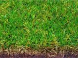 Tifway 419 Bermuda Grass Price Tifway 419 Bermuda Tifway 419 Hybrid Bermuda Grass Seed