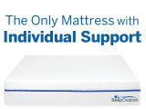 Tn.com Mattress Reviews Sleepovation 700 Tiny Mattresses In One for Back Pain Relief